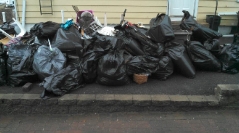 The Junk Wizard: Service Image-3 The Junk Wizard: Service Image-3